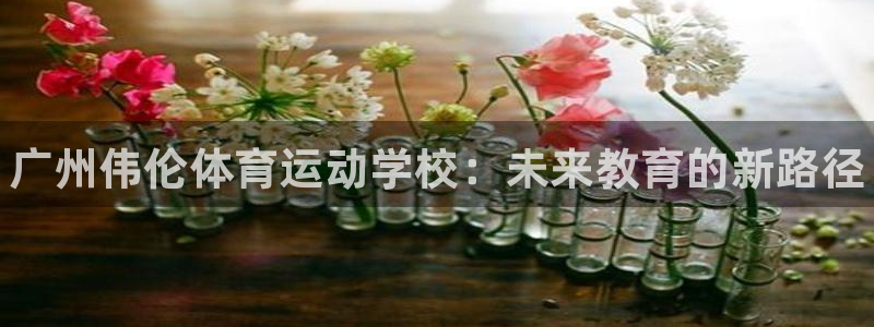 米兰体育官网下载招商电话是多少啊：广州伟伦体育运动学校：未来