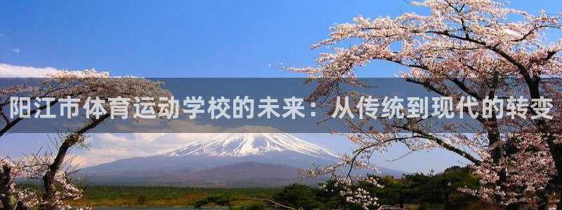 米兰体育官网下载招商电话地址是多少：阳江市体育运动学校的未来