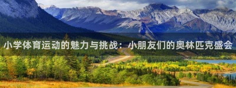米兰体育官方正版app集团简介：小学体育运动的魅力与