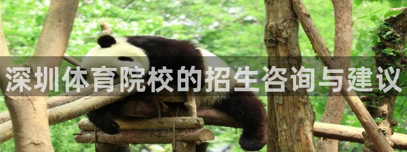海南米兰体育官网下载：深圳体育院校的招生咨询与建议
