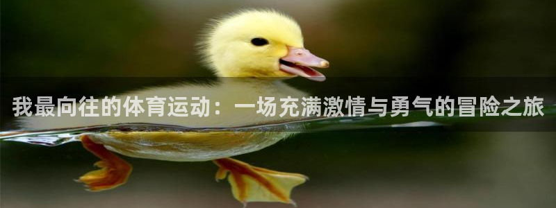 米兰体育官方正版app新能源：我最向往的体育运动：一场充满激