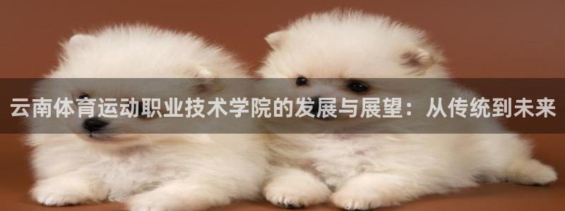 米兰体育官方平台体育