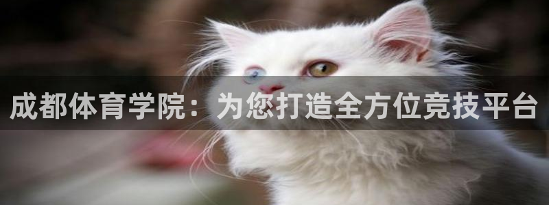 米兰体育官方正版app集团官网网址