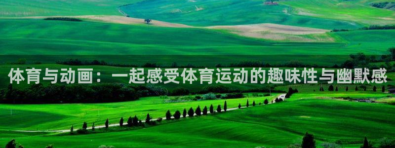 米兰体育官方正版app娱乐：体育与动画：一起感受体育运动的趣