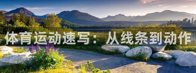 米兰体育官网下载招商电话是多少啊：体育运动速写：从线条到动作