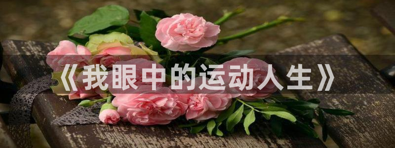 米兰体育官网下载招商电话号码是多少号：《我眼中的运动人生》