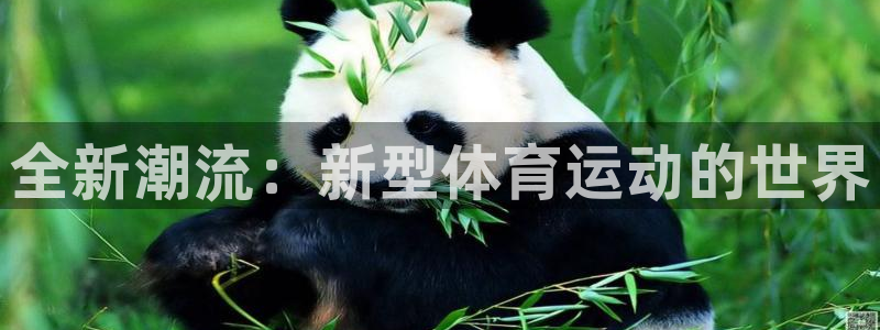 米兰体育官方正版app集团官网首页网址