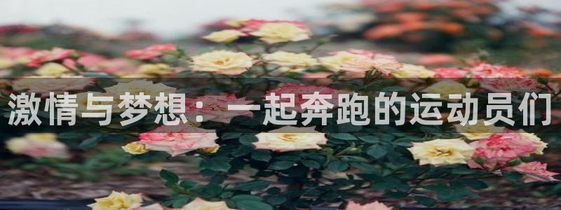 米兰体育官方正版app娱乐平台：激情与梦想：一起奔跑