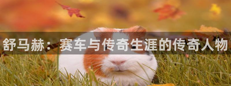 米兰体育官网下载联系电话：舒马赫：赛车与传奇生涯的传奇人物