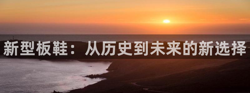 米兰体育官网下载平台注册流程视频：新型板鞋：从历史到